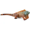 Image de Wild life iguane