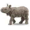 Image de Wild life bébé rhinocéros indien