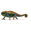 Image de Wild life caméléon