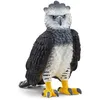 Image de Wild life harpie féroce