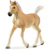Image de Horse club poulain haflinger