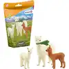 Image de Wild life famille d'alpagas