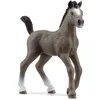 Image de Horse club poulain selle français