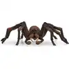 Image de Figurine aragog