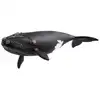Image de 14878 baleine de l'atlantique