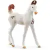 Image de 14896 figurine poulain marwari