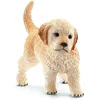 Image de Chiot golden retriever