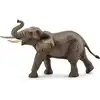 Image de Éléphant d'afrique mâle
