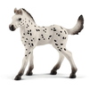 Image de 13890 figurine poulain knabstrup