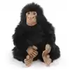 Image de Chimpanze bebe 25 cm - anima
