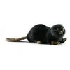 Image de Castor couche 22cm - anima