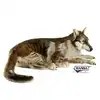 Image de Hansa peluche geante loup couché 125cml