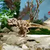 Image de Tyrannosaurus rex puzzle 3d bois