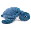 Image de Ptipotos tortue maman bebe bleu