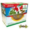 Image de Blumat systÃ¨me 12 plantes