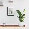Image de Eglo Connect Stripe-C Ruban Led Rvbw 300 Cm