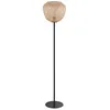Image de Dembleby Lampadaire Noir