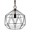 Image de Cottingham Plafonnier Wire Frame Noir