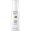 Image de Shampooings Marlies Möller  Shampoing Refroidissant Purifiant P26408211
