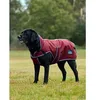 Image de Manteau Pour Chien Weatherbeeta Comfitec Premier Deluxe