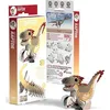 Image de Eugy 3d Prehistoire - Raptor
