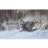 Image de Maquette Canon Anti-AÃ©rien Allemand : Flak 37 3.7 Cm-Trumpeter
