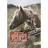 Image de Mon amie Flicka - Mary O'Hara en occasion ou reconditionné