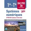 Image de Systèmes numériques 1re Tle Bac Pro SN, option RISC Systèmes d'information (20 - VALENTIN ALCIDI, MICHEL CLAVAUD, GRÉGORY MOURIER et Jean-Jacques Kieffer Ben Merzouga en occasion ou reconditionné