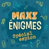 Image de Maxi énigmes - Spécial espion - Fleurus en occasion ou reconditionné