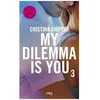 Image de My Dilemma Is You - Tome 3