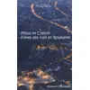 Image de Mihaï et Cosmin frères des rues en Roumanie: A partir de 11 ans - Philip Ribe en occasion ou reconditionné