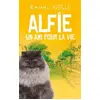 Image de Alfie, un ami pour la vie - Rachel Wells en occasion ou reconditionné