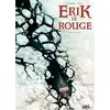 Image de Erik le Rouge T01: Le Trésor du Vinland - DI GIORGIO-JF+SIEURAC-L en occasion ou reconditionné