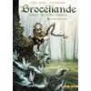 Image de Brocéliande T01: La Fontaine de Barenton en occasion ou reconditionné