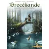 Image de BrocÃ©liande - Tome 5 - Le Miroir Aux FÃ©es