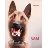 Image de Sam