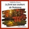 Image de La forêt aux couleurs de l'Automne - Mélanie Lebihain en occasion ou reconditionné