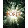 Image de Il était une forêt : D'après le film de Luc Jacquet - Francis Hallé, Luc Jacquet en occasion ou reconditionné