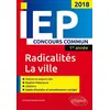 Image de Concours commun IEP 2018. 1re année. Synthèse sur les deux thèmes - Christine Noël-Lemaitre en occasion ou reconditionné