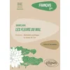 Image de FranÃ§ais 1re L'oeuvre Et Son Parcours - Baudelaire, Les Fleurs Du Mal, Parcours Alchimie PoÃ©tique : La Boue Et L'or