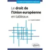 Image de Le droit de l'Union européenne en tableaux - Agnès Gautier-Audebert en occasion ou reconditionné