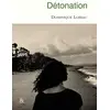 Image de Détonation - Dominique Loreau en occasion ou reconditionné