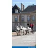 Image de Voitures Hippomobiles - Haras National Du Pin