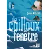 Image de Des cailloux à ma fenêtre - Jessie Magana en occasion ou reconditionné