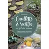 Image de Cueillette & recettes au fil des saisons - Cuisine botanique, soins naturels et créations inspirées de la nature - Sabrina Schott en occasion ou reconditionné