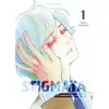 Image de Stigmata - Les empreintes de la passion - Tome 1 (VF) - Hidebu Takahashi en occasion ou reconditionné
