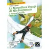 Image de Le Merveilleux Voyage de Nils Holgersson à travers la Suède: suivi d'un groupement thématique : « Héroïnes et héros miniatures » - Selma Lagerlöf, Laurence Vismes-Mokrani (de) en occasion ou reconditionné