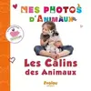 Image de Les câlins des animaux en occasion ou reconditionné