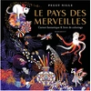 Image de Livre de coloriage Le pays des merveilles