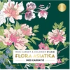 Image de Mon carnet à colorier d'Asie - Flora Asiatica